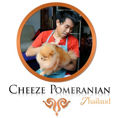 สอนอาบน้ำน้องหมา ตามแบบ Cheeze Pom